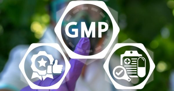 Gmp